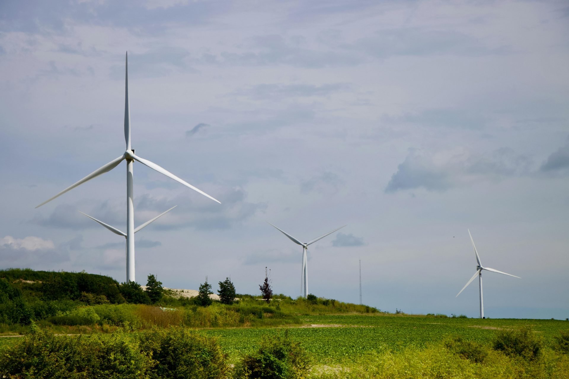 Wind turbines generating clean energy in a green field, symbolizing sustainable power solutions.